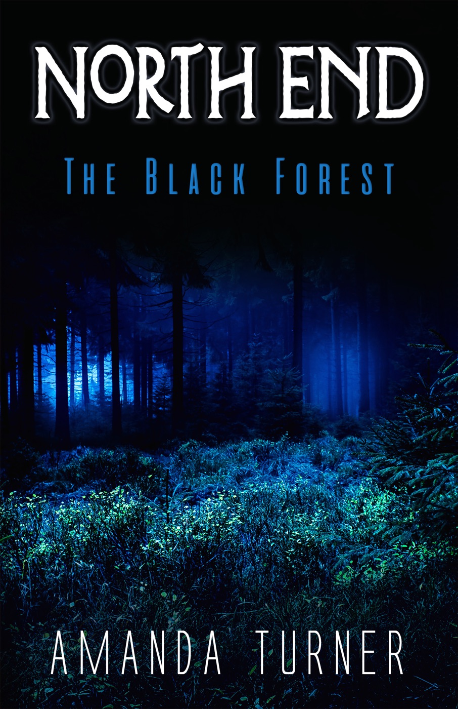 Cover of North End: The Black Forest