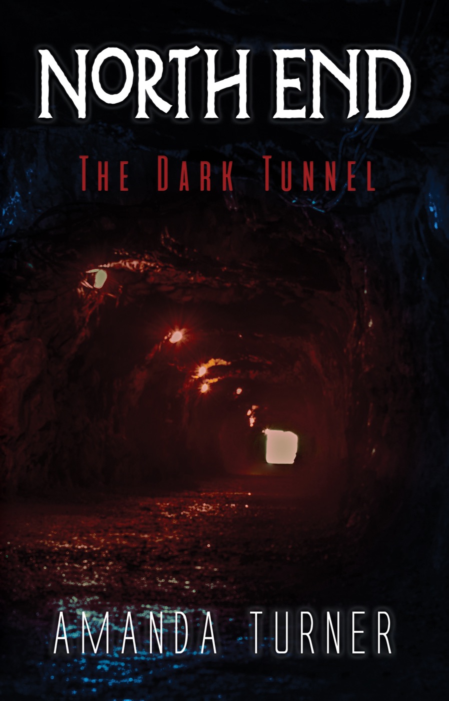 Cover of North End: The Dark Tunnel